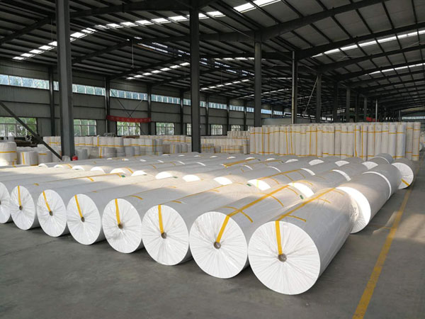 洞头狭缝式涤纶纺粘无纺布